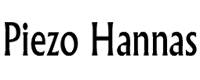 Piezo-Keramikhersteller-Piezo Hannas